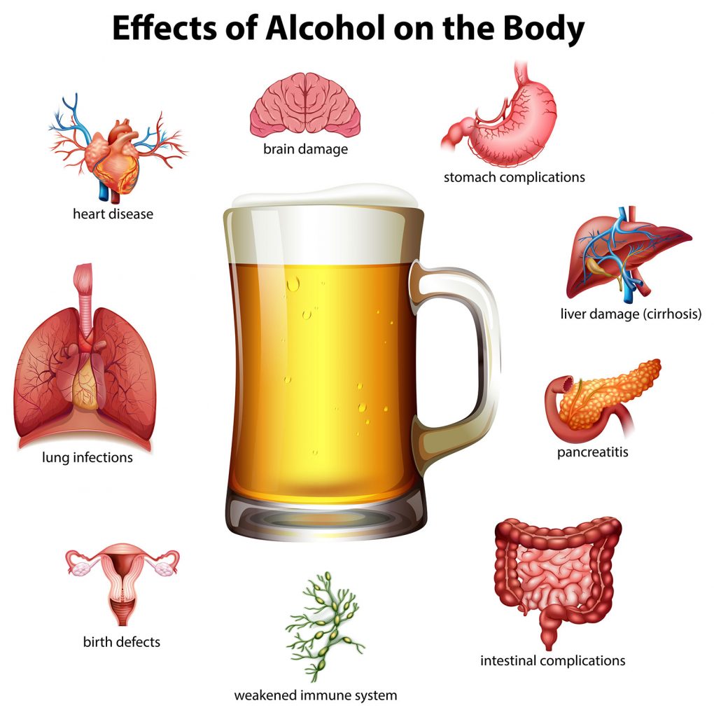 Effects of Alcohol on the body