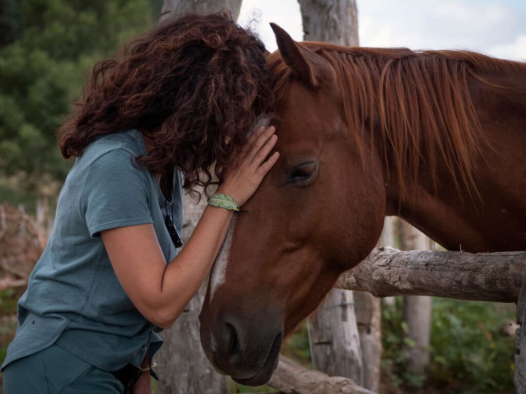 Equine Therapy in Boynton Beach