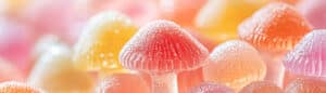 magic mushroom gummies