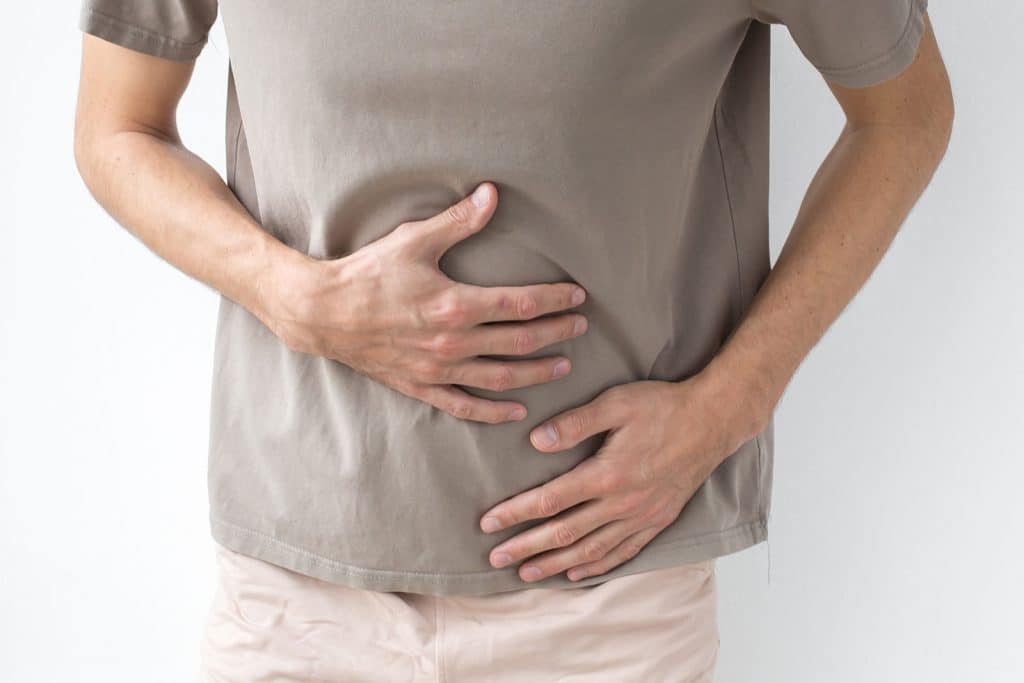 Digestive System