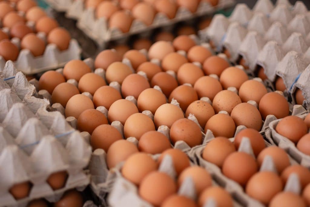 Eggs