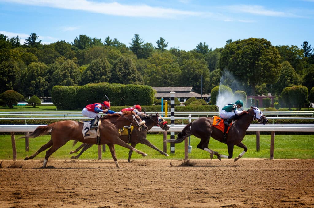 horse betting
